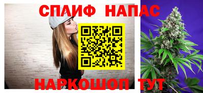 дмт Краснознаменск