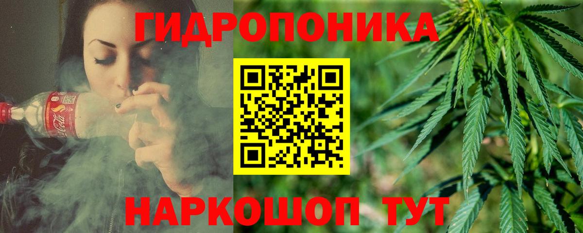 Марихуана конопля Кизляр